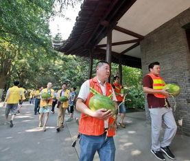 芒市吃瓜群众  第2张