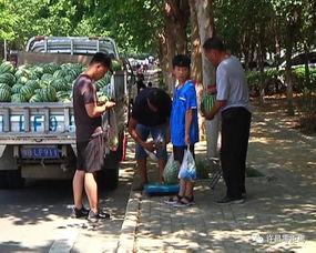 芒市吃瓜群众  第3张