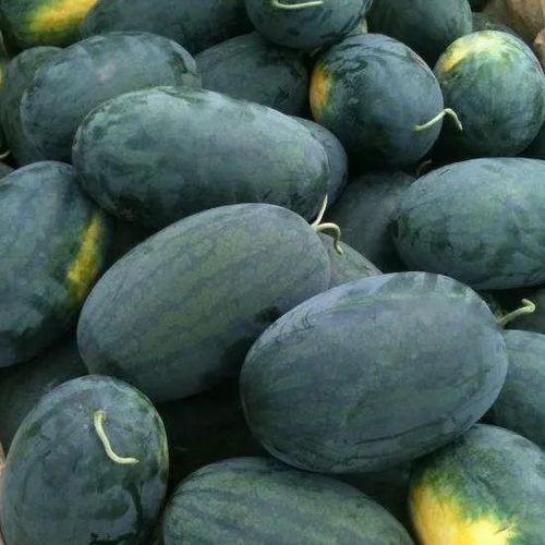 特别吃瓜苏安,网络红人的崛起之路  第2张