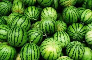 本地吃瓜群,揭秘社区热点背后的故事  第3张