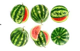 光启市吃瓜  第1张