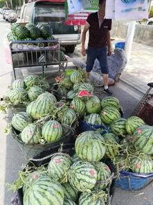 云南公园吃瓜事件视频,一场引发热议的网络围观  第1张