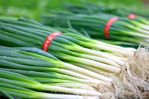 大襄城吃瓜,一场热闹非凡的吃瓜盛宴  第1张