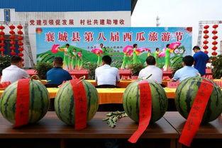 大襄城吃瓜,一场热闹非凡的吃瓜盛宴  第2张