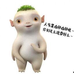 埃瓜怎么吃,地道风味，尽享异国美食之旅  第2张