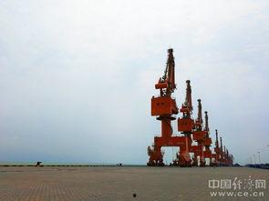 铁山港吃瓜,吃瓜群众的欢乐时光  第2张