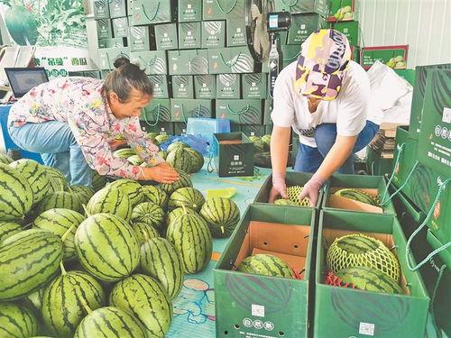 濮阳吃瓜爆料近期,揭秘近期热门事件背后的真相  第1张