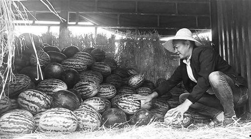 耒阳吃瓜群众案件,网络谣言引发的司法风波  第3张