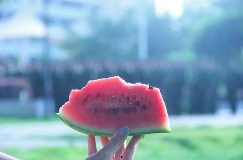 带你吃瓜的冰雪  第3张