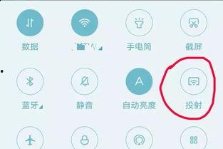 吃瓜视频可投屏,一键投屏，畅享娱乐新体验  第1张