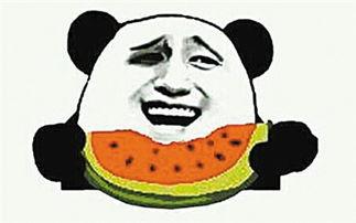 吃瓜群众到底吃的什么瓜,吃瓜群众究竟在品尝何种瓜果之谜  第1张
