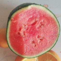 金寨吃瓜视频  第3张