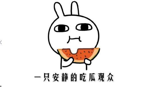 吃瓜抖音版,网络热梗背后的趣味与思考  第1张