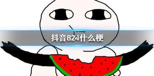 吃瓜抖音版,网络热梗背后的趣味与思考  第3张