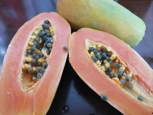 吃线瓜吉利吗,健康又吉利，揭秘瓜果中的养生佳品  第3张