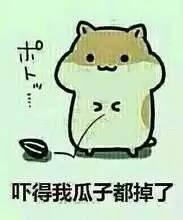 吃瓜看官的视频,带你领略短视频背后的精彩故事  第2张