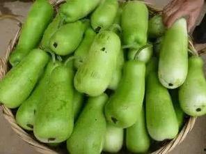 吃葫芦瓜中毒索赔,维权之路与食品安全警示  第2张