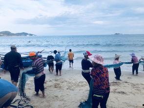 东山岛吃瓜,探寻海滨风情与美食诱惑  第2张