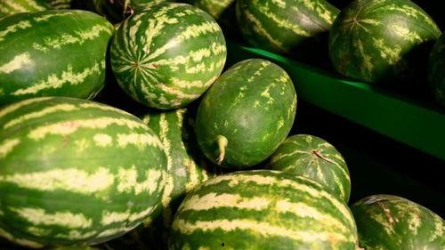 金乡西城吃瓜事件视频,一场引发热议的网络视频风波  第3张