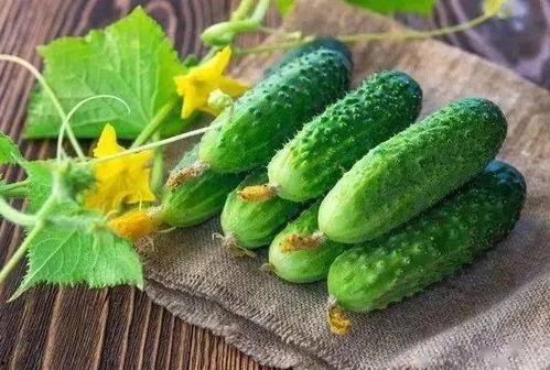 吃大瓜浑身肿胀,揭秘浑身肿胀的奥秘  第3张