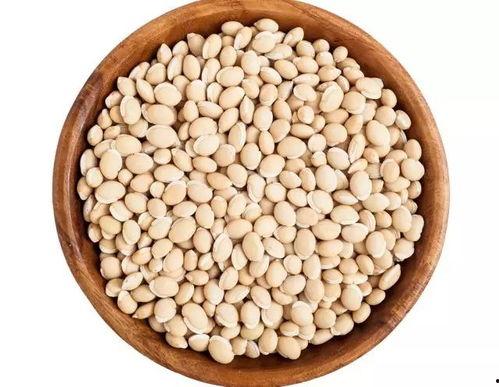 小金豆吃瓜,小金豆的夏日瓜果盛宴  第3张