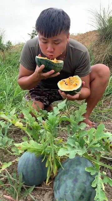 野开瓜怎么吃,解锁自然美味新体验  第1张