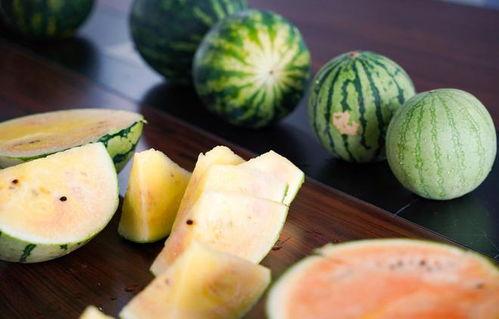 野开瓜怎么吃,解锁自然美味新体验  第3张