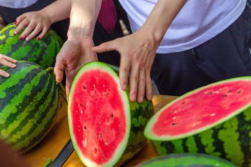 南宁高校吃瓜群,校园热点一网打尽，青春话题热议不断  第1张