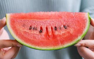 吃瓜请种,一场别开生面的田园生活体验  第2张