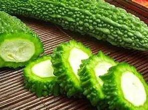 吃瓜请种,一场别开生面的田园生活体验  第3张