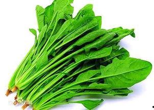 吃伏瓜会致癌  第1张