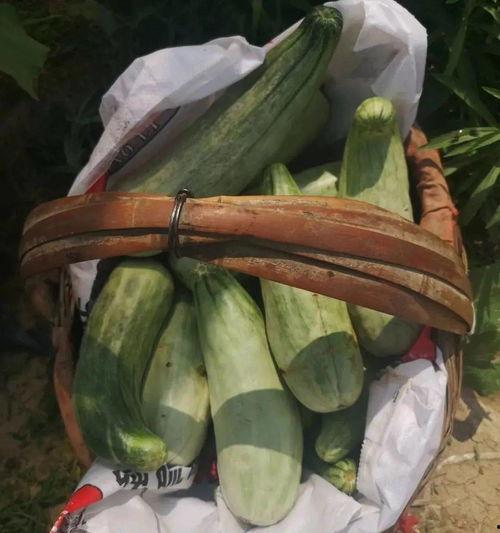 带货吃瓜视频  第1张