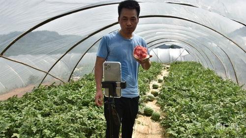 带货吃瓜视频  第2张