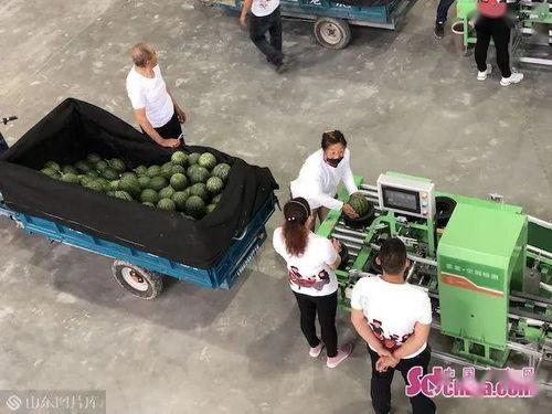 带货吃瓜视频  第3张