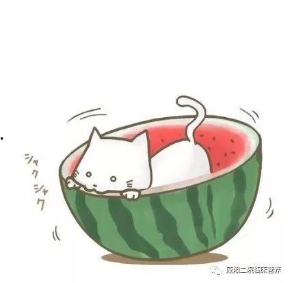 吃瓜群众的头像动漫版,吃瓜群众动漫头像背后的故事  第2张