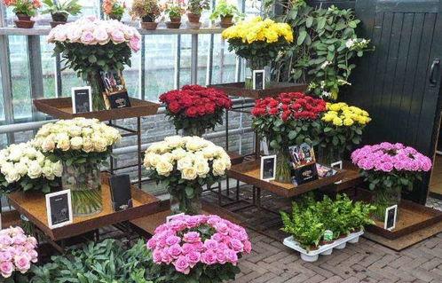 花店老板网络吃瓜,揭秘娱乐圈幕后风云  第3张