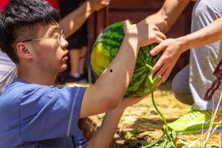 大学台阶吃瓜,揭秘大学台阶上的那些秘密  第2张