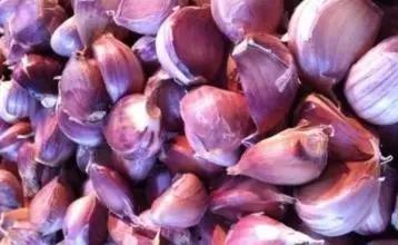 应县木塔吃瓜  第3张