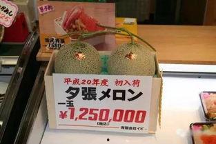 蜜瓜土豪才敢吃,揭秘只有土豪才敢享用的奢华美味  第2张