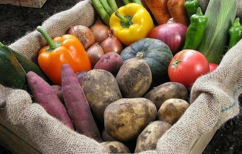 tt官方吃瓜社团  第2张