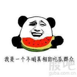 我们的吃瓜群众,吃瓜群众视角下的娱乐圈风云录  第1张