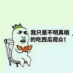 我们的吃瓜群众,吃瓜群众视角下的娱乐圈风云录  第3张