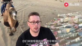 好看德吃瓜视频  第3张