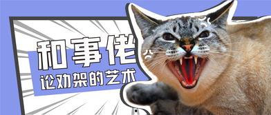正义小猫瓜吃蓝莓,正义小猫瓜的蓝莓奇遇记  第2张