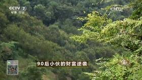 吃瓜致富经,从瓜田到财富的奇妙之旅  第2张