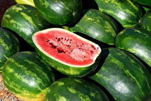 和平吃瓜视频素材  第1张