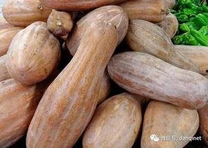 方瓜咋吃h,方瓜咋吃，美味无限  第1张
