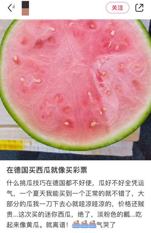 吃瓜网友分享平台,揭秘吃瓜网友分享平台背后的故事  第1张
